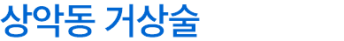 상악동 거상술